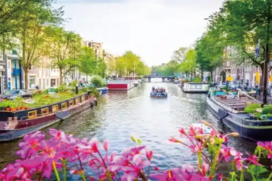 2026-0129-The Regal Rhine-image-5