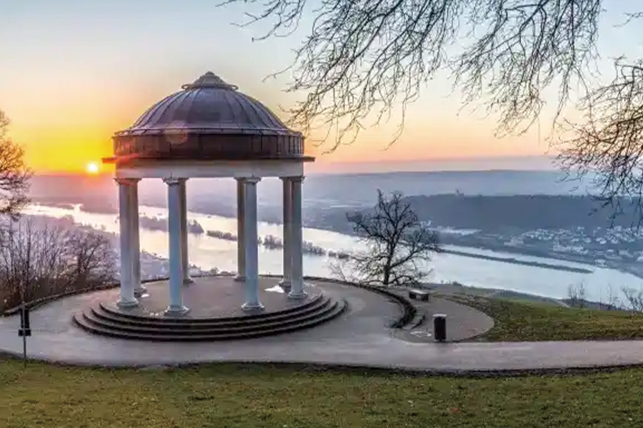 2026-0129-The Regal Rhine-image