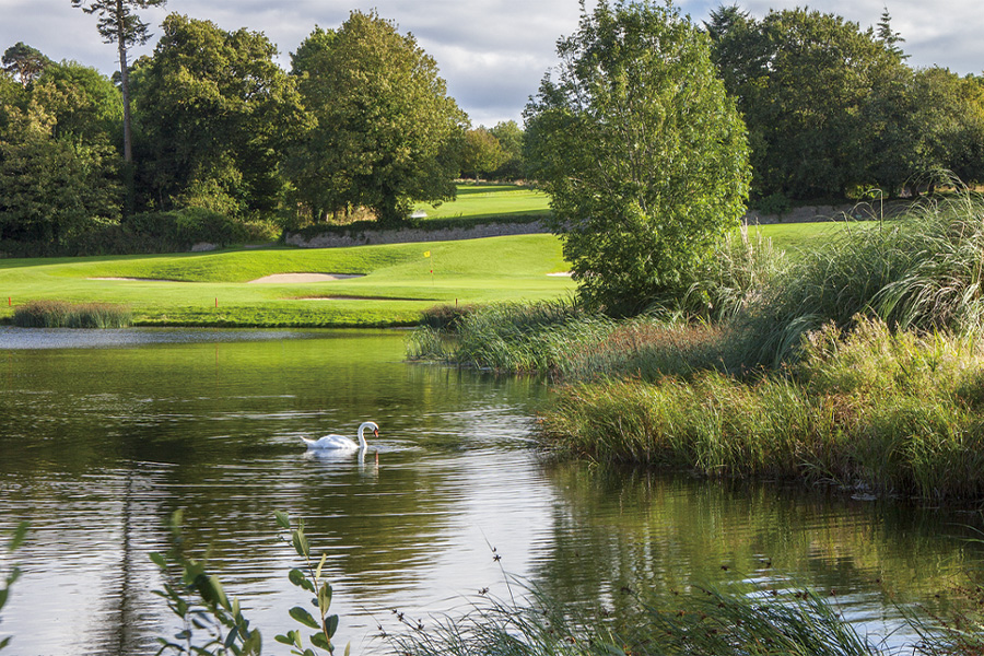 2026-0130 Fota Island Golf Club-image