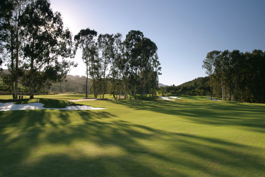 2026-0130 Santana Golf-image