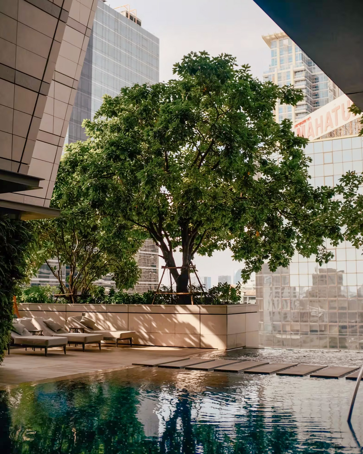 2026-0209 ROSEWOOD-IMAGE-3