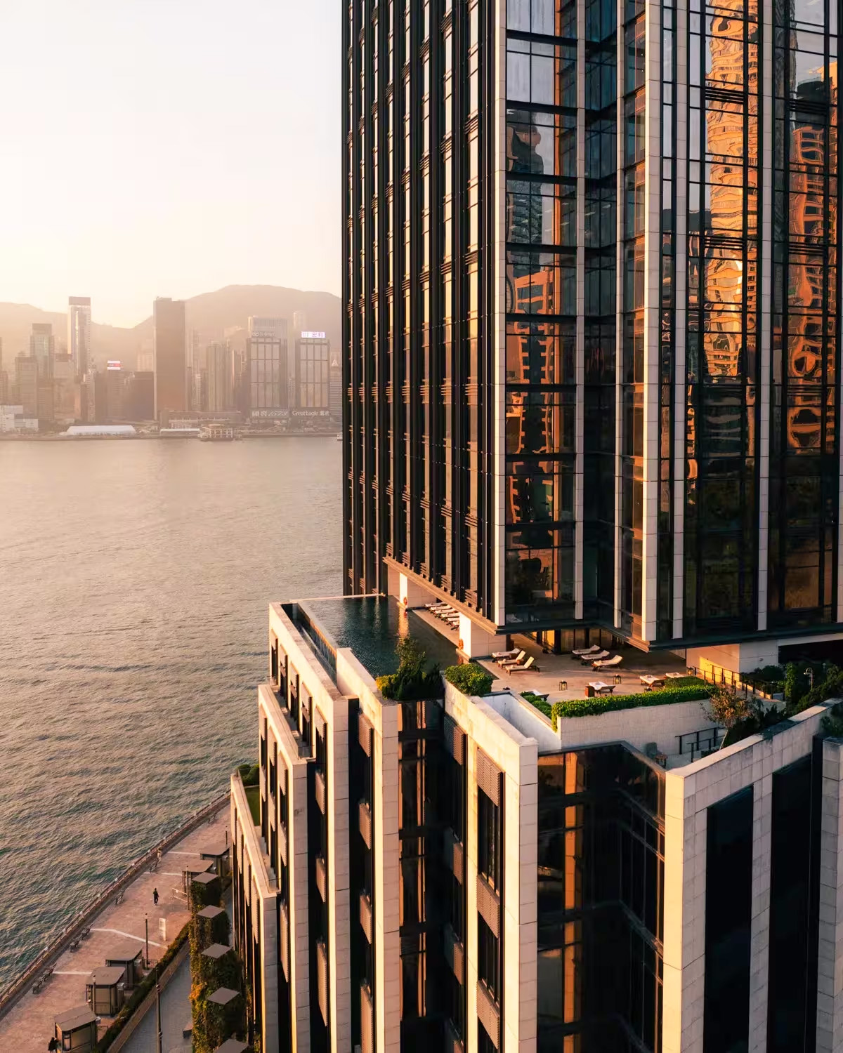 2026-0209 ROSEWOOD-IMAGE-5