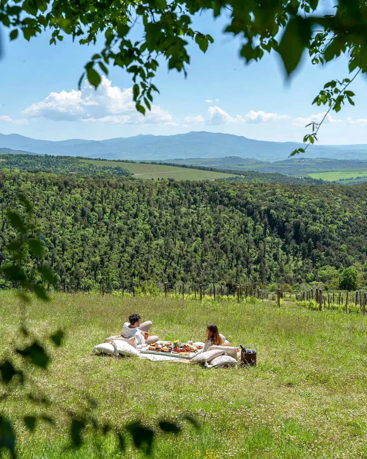 2026-0209 ROSEWOOD-IMAGE-EXPERIENCES-6