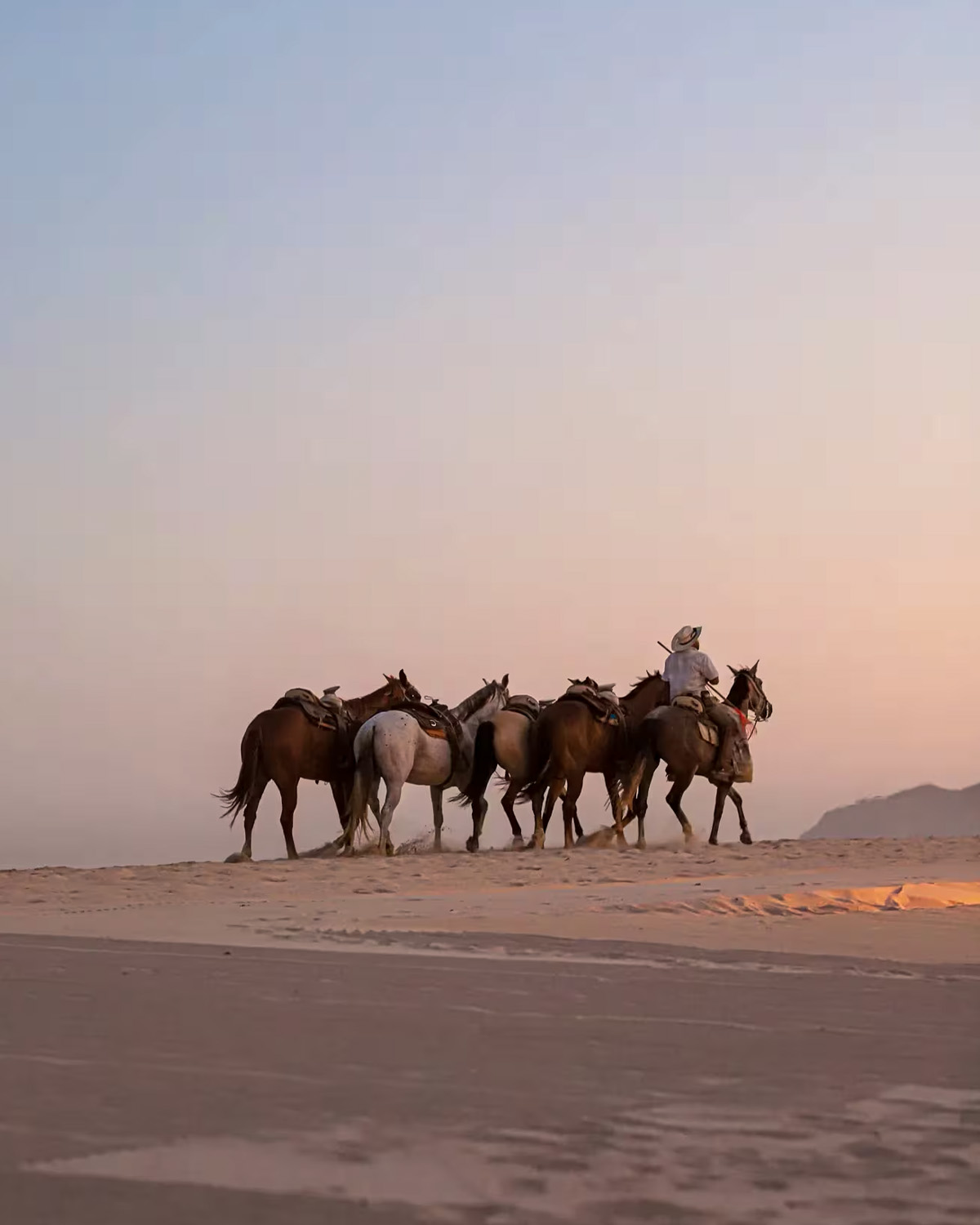 2026-0209 ROSEWOOD-IMAGE-EXPERIENCES