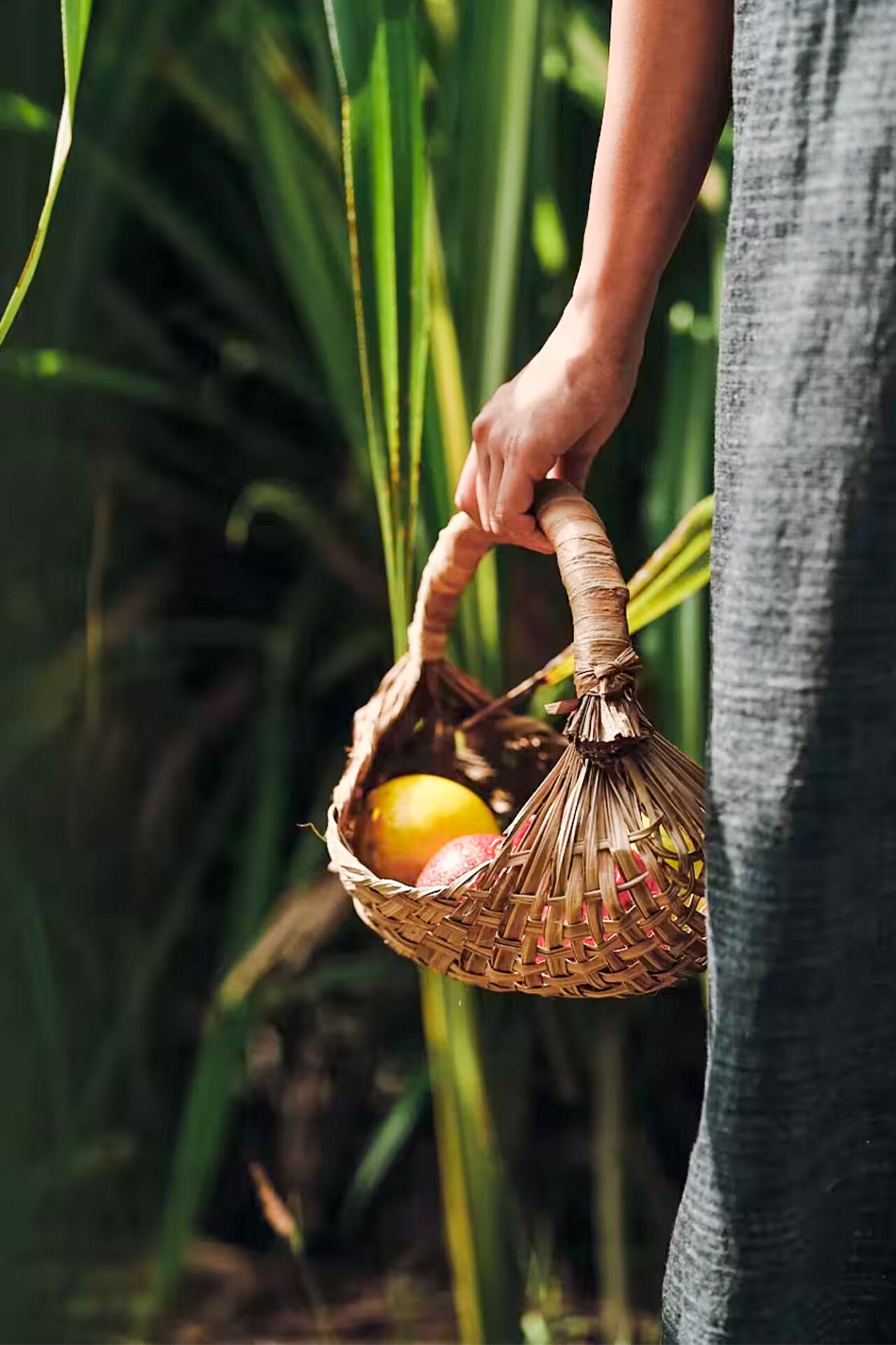 2026-0209 Rosewood Miyakojima-EXPERIENCES-1