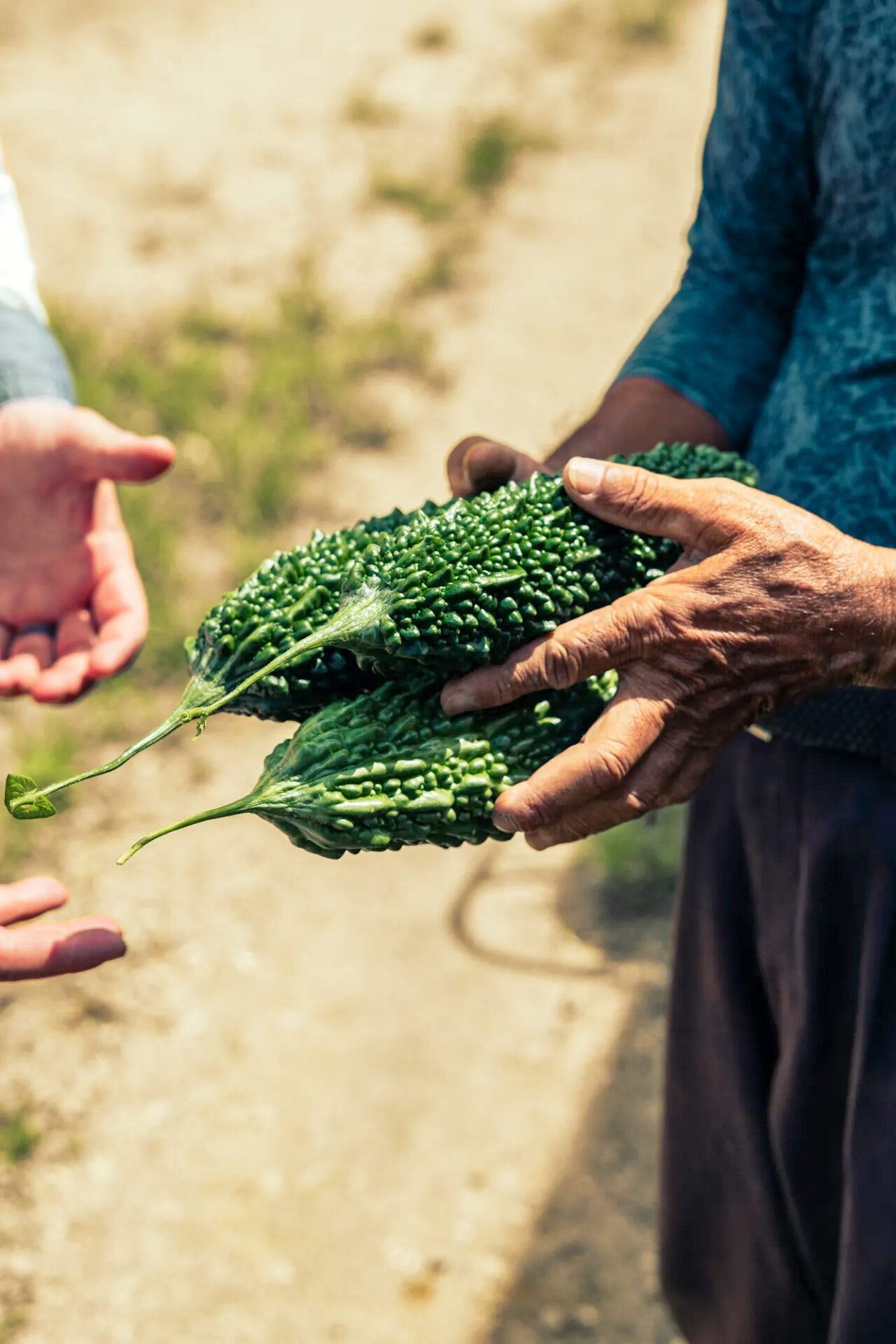 2026-0209 Rosewood Miyakojima-EXPERIENCES-2