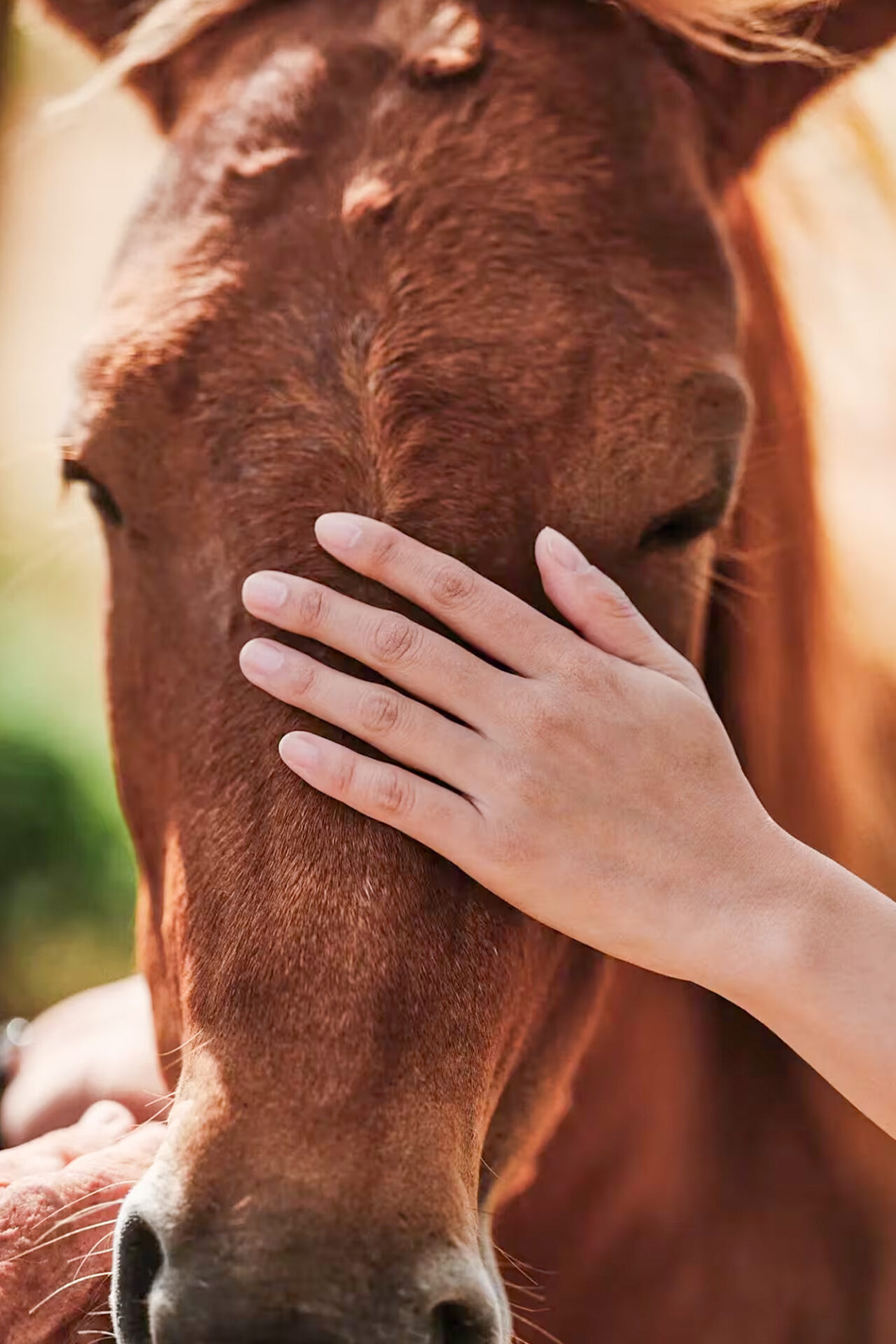 2026-0209 Rosewood Miyakojima-EXPERIENCES-3