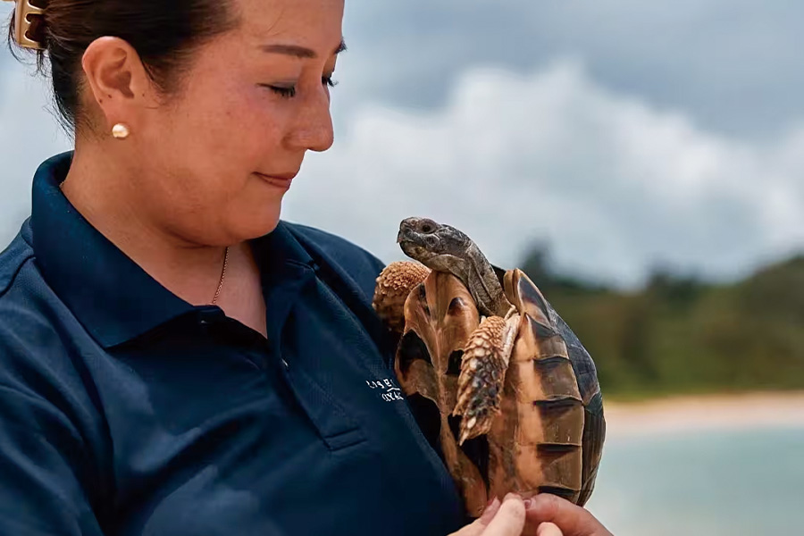 2026-0209 Rosewood Miyakojima-image-1