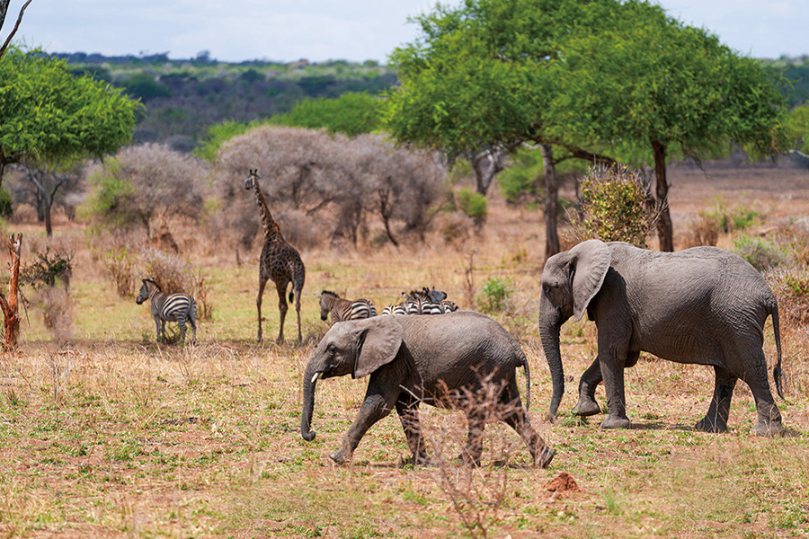 2026-0213 2026-0213 Polar Expedition Cruise -image-12