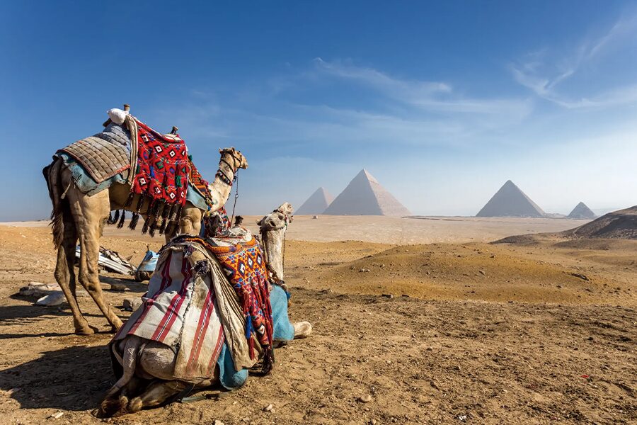 2026-0225-AmaWaterways-AmaBella-image-03