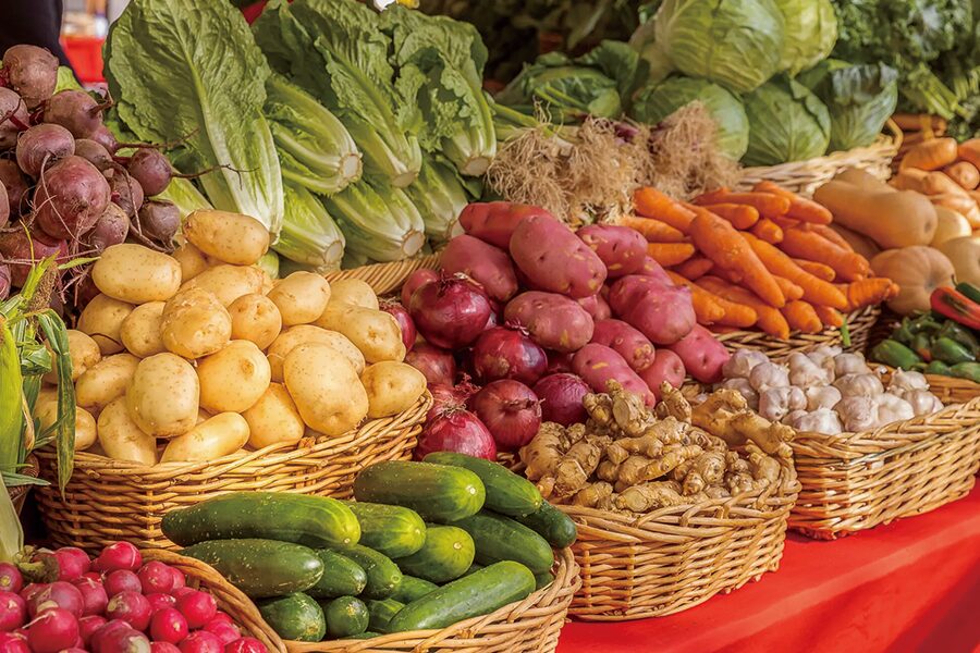 2026-0225-AmaWaterways-AmaBella-image-29