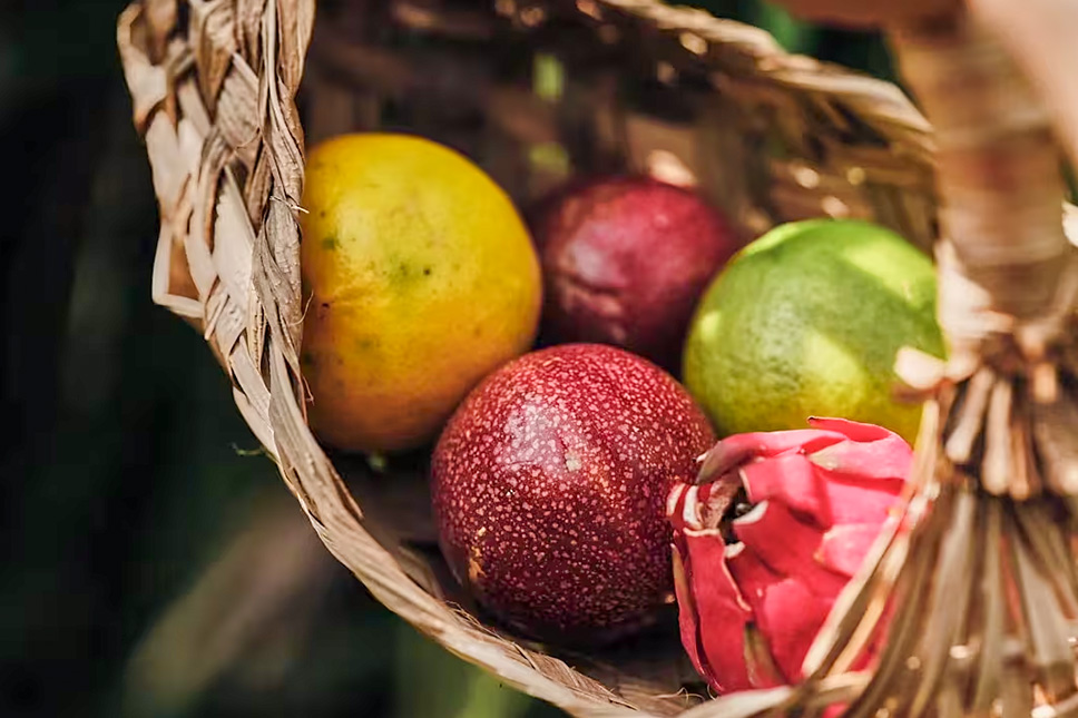 2026-0303-rosewood miyakojima-Dining-image-6