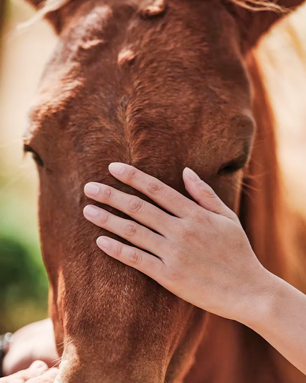 2026-0303 rosewood miyakojima-Hidden Gems-image-1-3