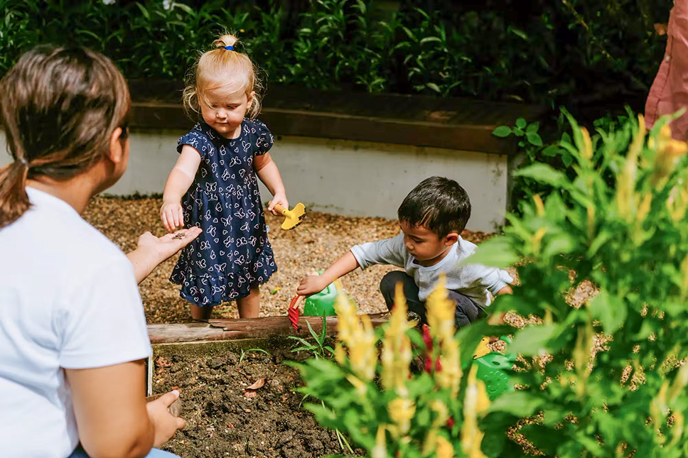 2026-0303-rosewood miyakojima-Rosewood Explorers -image-2