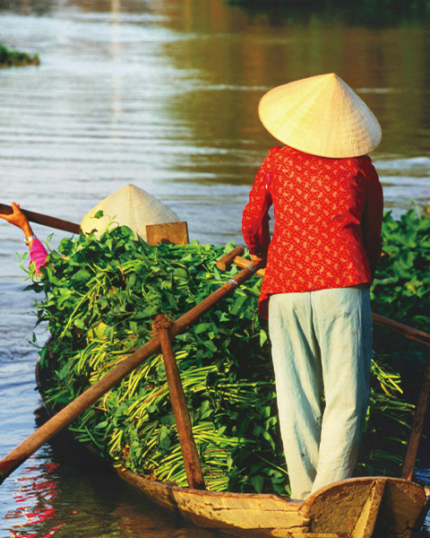 2026-0302 amawaterways-Featured Experiences Along the Mekong-image-1