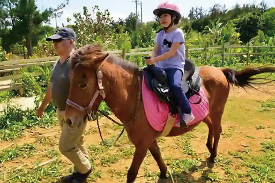 2026-0306-Maipari-image