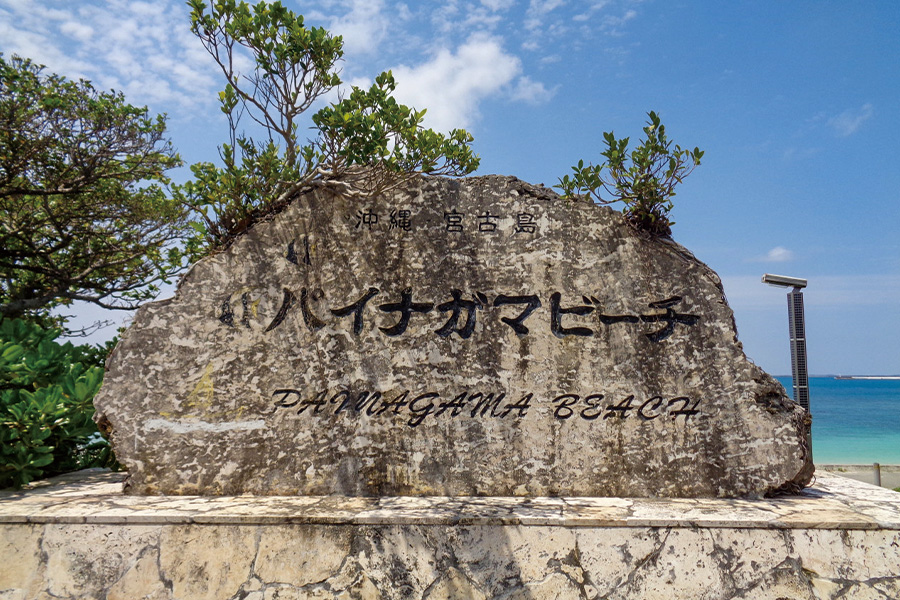 2026-0306-PAINAGAMA-image