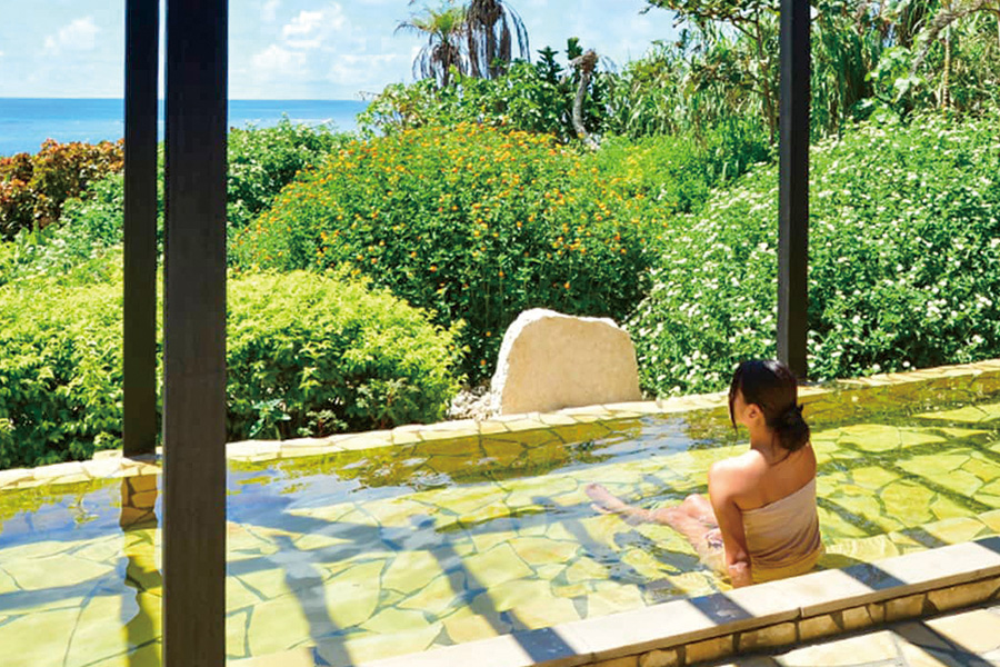 2026-0306-SHIGIRA -image