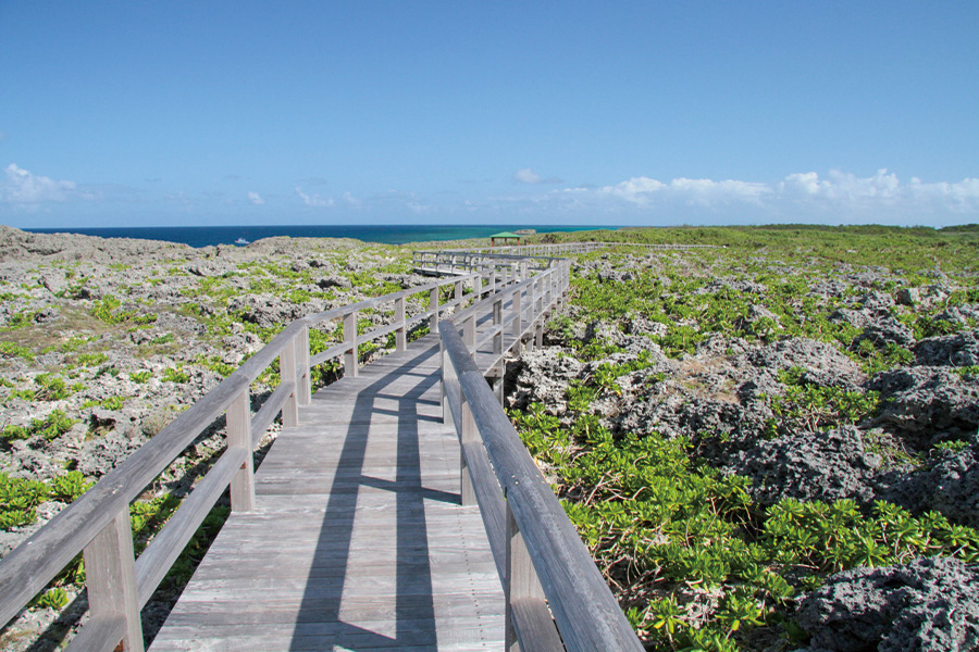 2026-0306- Toriike Pond-image-2