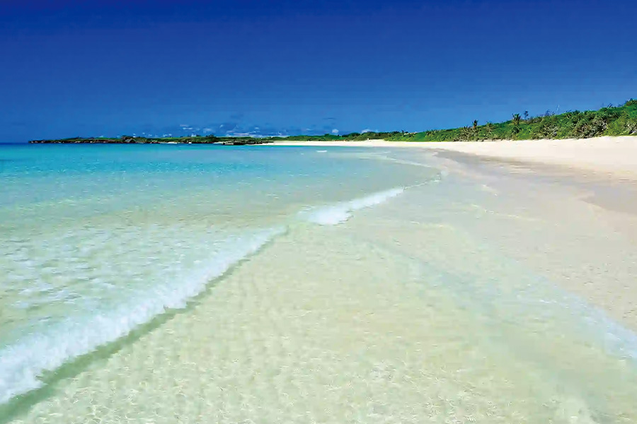 2026-0306-Watariguchi Beach -image