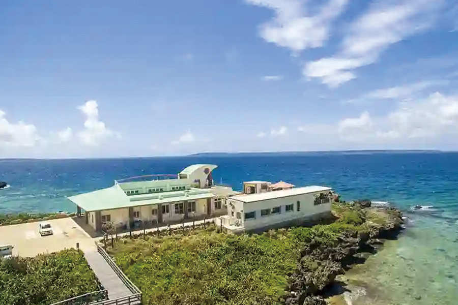 2026-0306-kaichukoen-IMAGE-1