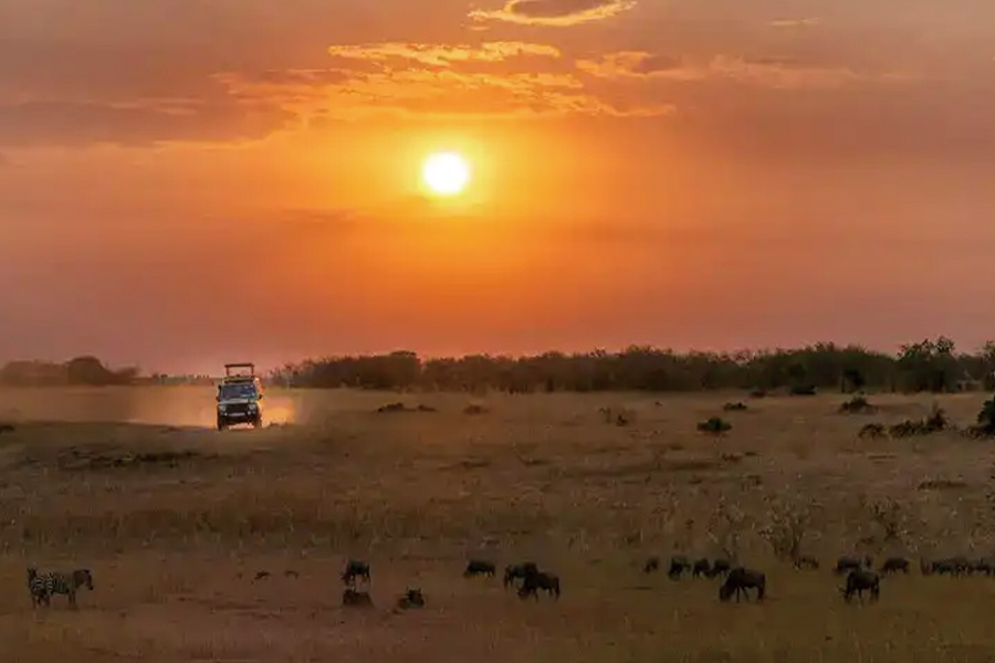 2026-0309-Banyan Tree-destinations-image-15