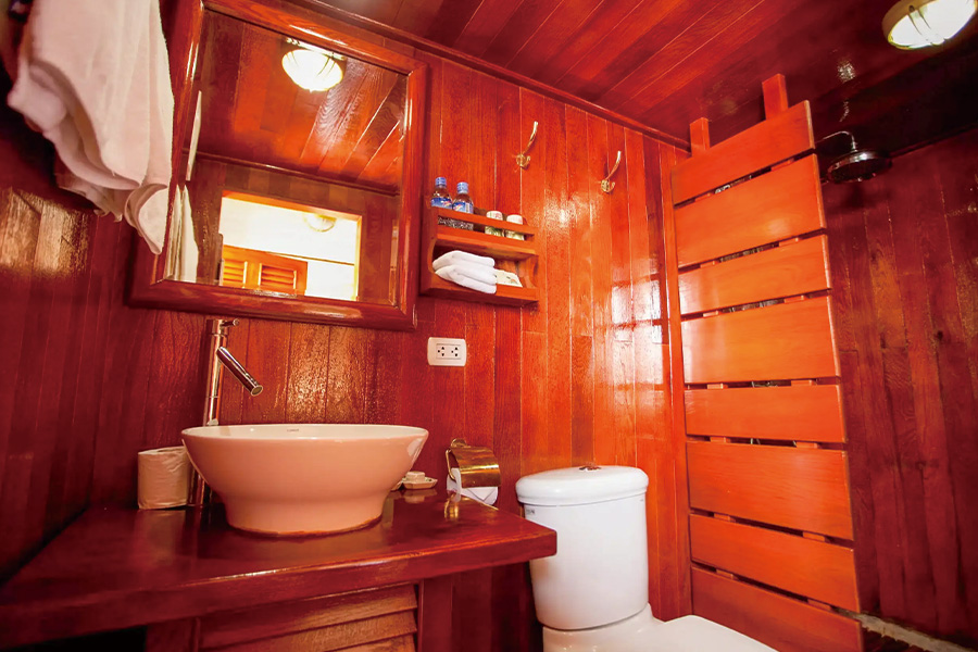 2026-0317-Toum Tiou II-image-04