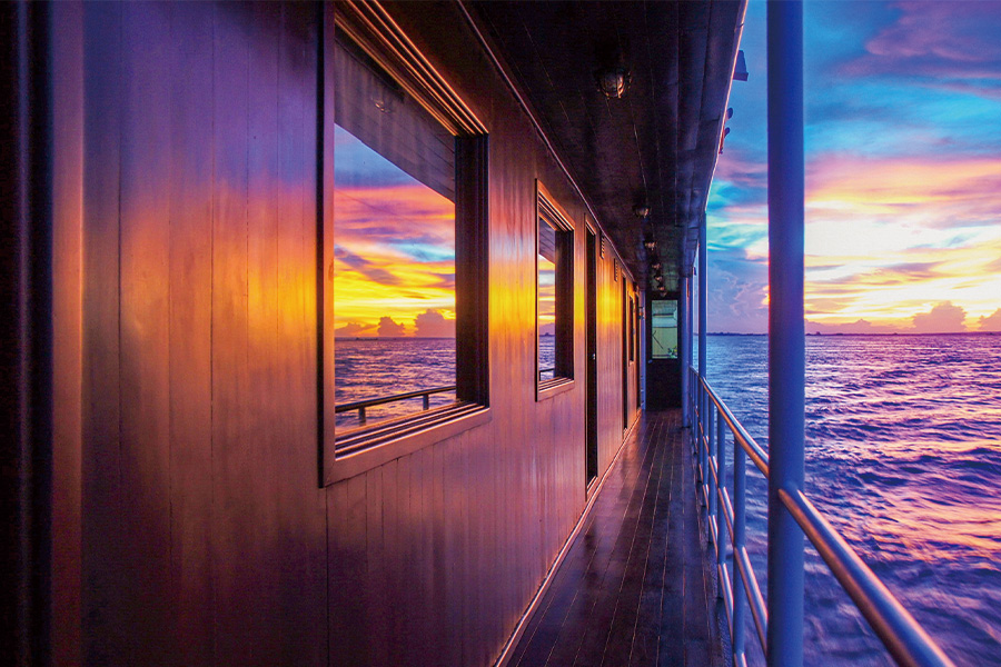 2026-0317-Toum Tiou II-image-05