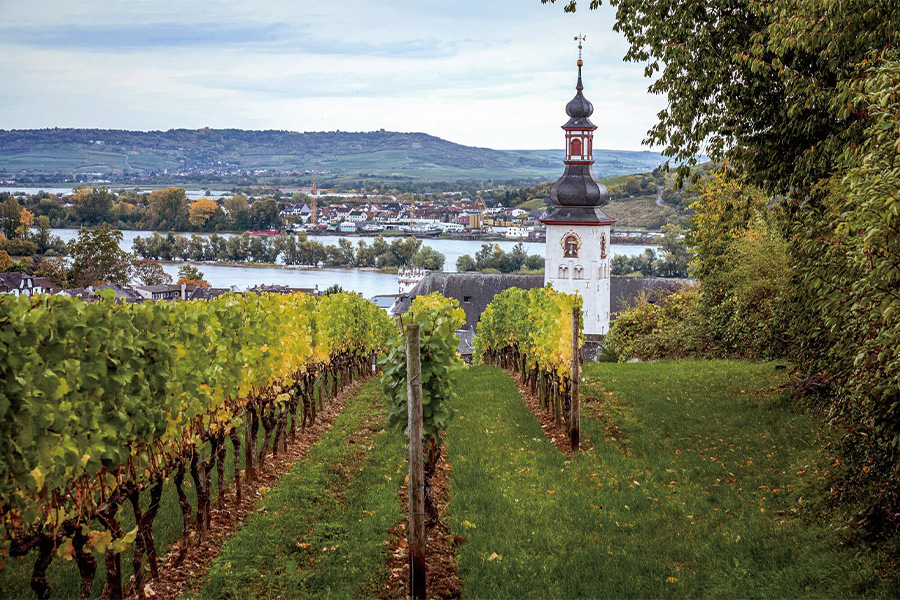 2026-0319-Grand Rhine & Parisian Lights-image-08