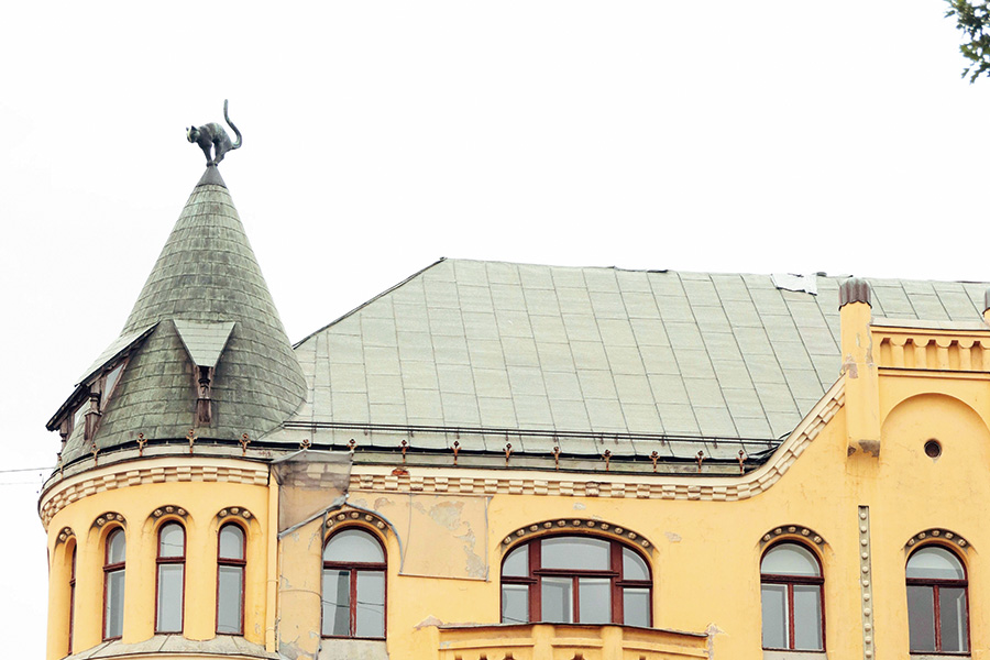 2026-0421-Kaķu nams-image