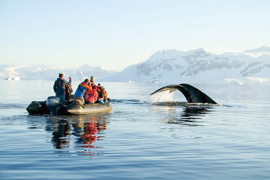 2026-0430-antarctica21-image-17