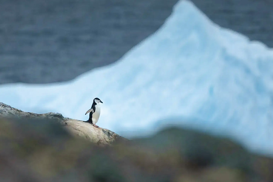 2026-0504-Classic Antarctica Air-Cruise-image-2