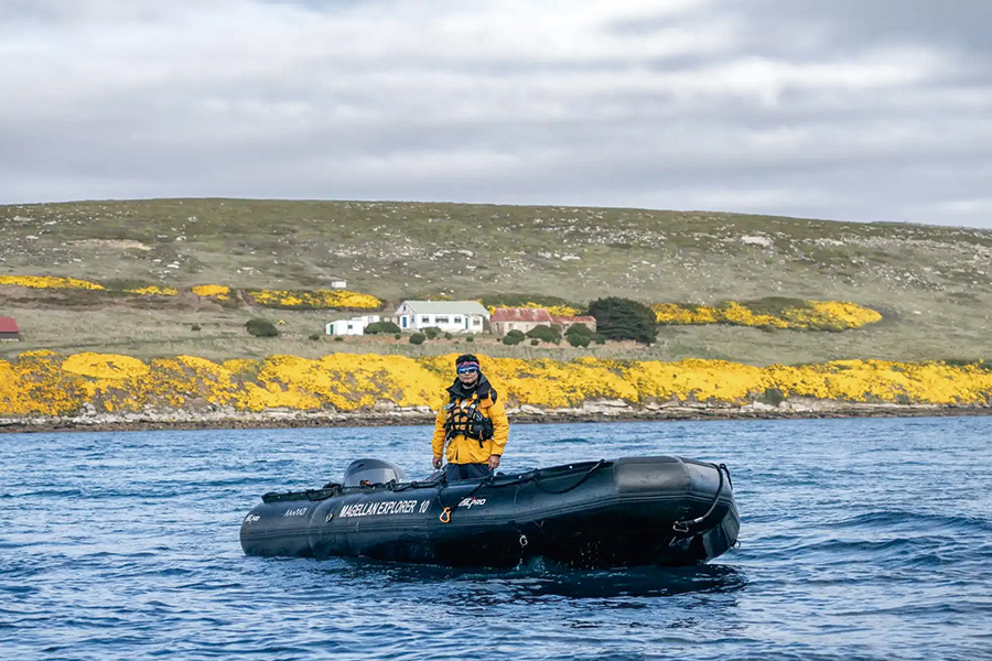 2026-0504-Falkland Islands (Malvinas)-image