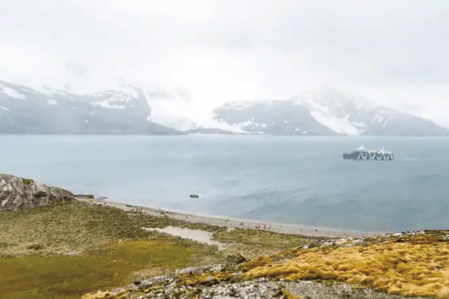 2026-0504-Falklands, South Georgia & Antarctica Sea Voyage-image