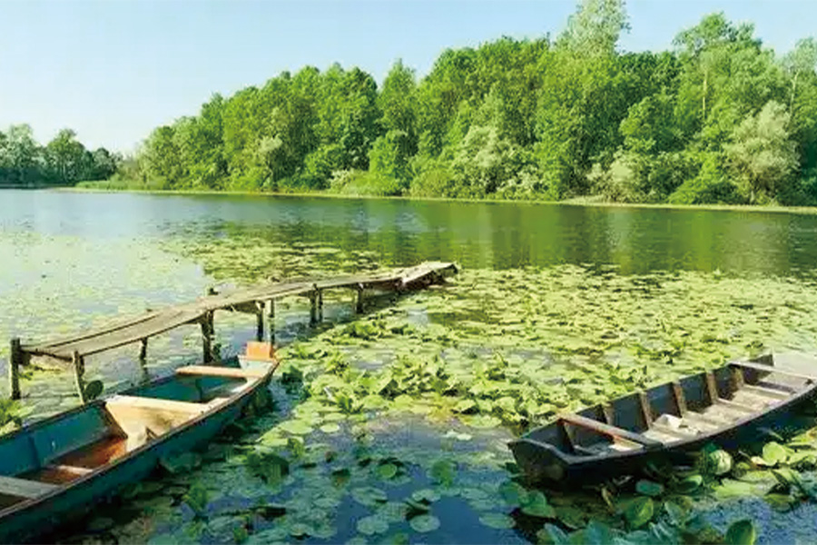 2026-0513-The majestic Danube, the authentic Sava and Lake Balaton-image-08