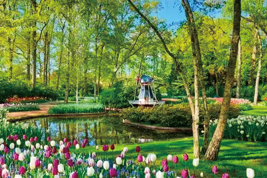 2026-0514-Cruise across Europe from Amsterdam to Budapest-image-1