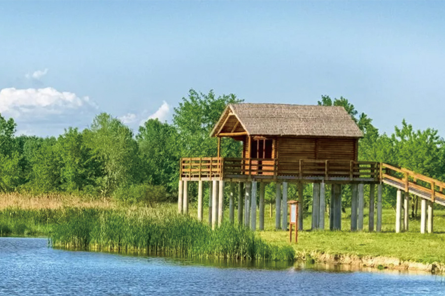 2026-0514-From the Tisza to the Danube-image