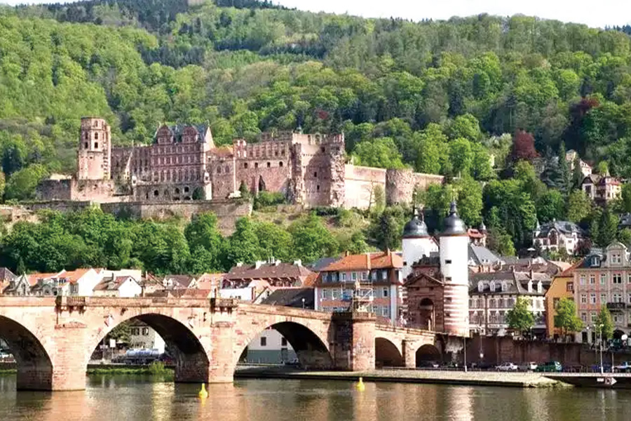 2026-0514-Springtime in Holland, the Romantic Rhine Valley and the Danube-image-01