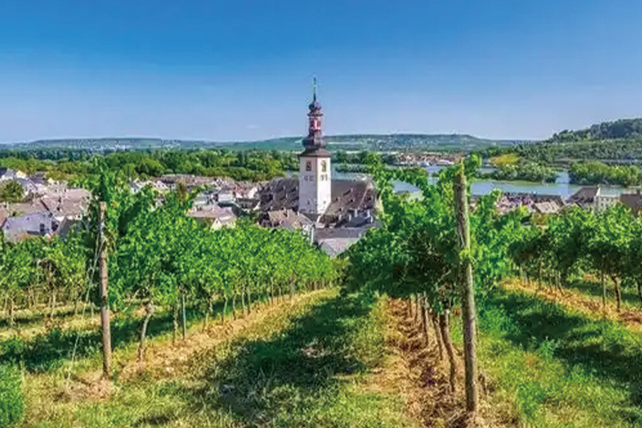 2026-0514-Springtime in Holland, the Romantic Rhine Valley and the Danube-image-13