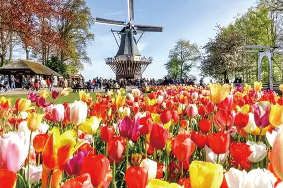 2026-0514-Springtime in Holland, the Romantic Rhine Valley and the Danube-image-19