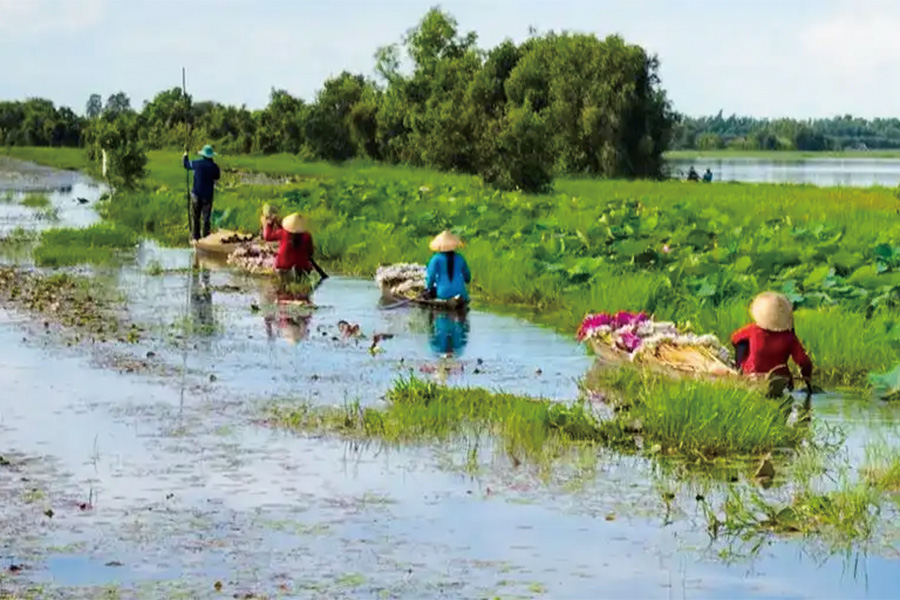 泛歐 | 湄公河 | 從湄公河三角洲到吳哥窟From the Mekong Delta to the Angkor Temples / 2026年08.09.10.11.12月 / 2027年01.02.03.04.05.08.09.10.11.12月 / 2028年01.02.03.04 月