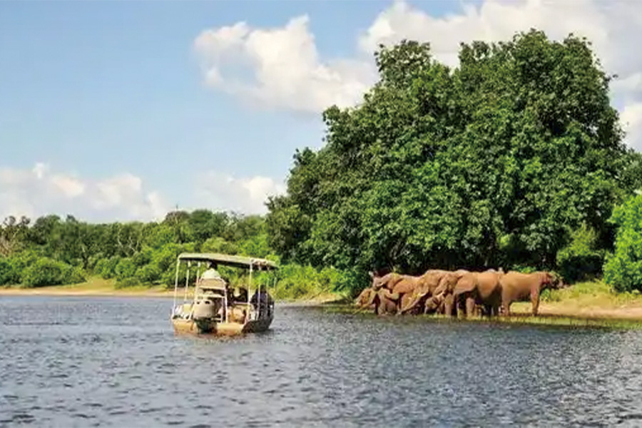 2026-0519-Safari Cruise along the Zambezi River-image-11