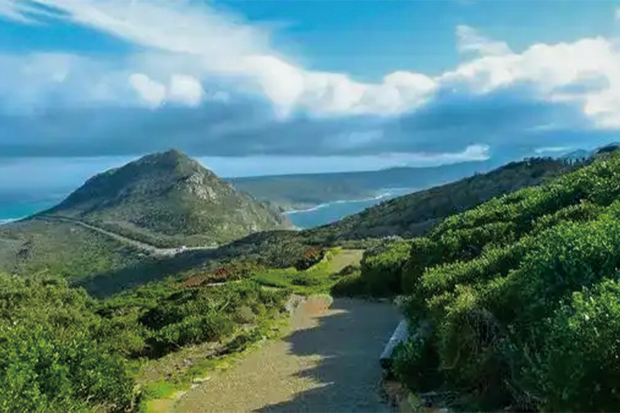 2026-0519-South Africa, Botswana, Namibia, Zimbabwe with extended stay at the Cape Peninsula -image-7