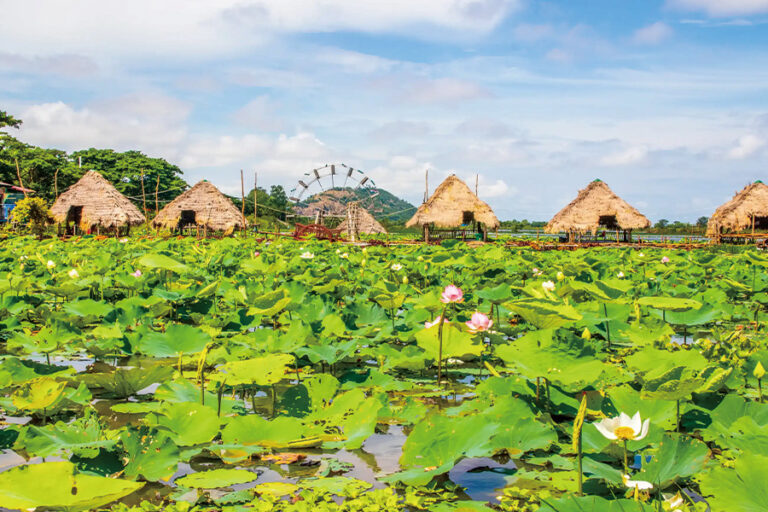 Aqua Expeditions | 湄公河 | 湄公河探險之旅 金邊往胡志明市 8日Aqua Mekong Expedition Cruise Phnom Penh to Ho Chi Minh City 8days / 2027年01.02.03.04月 / 2028年02.03.04.12月