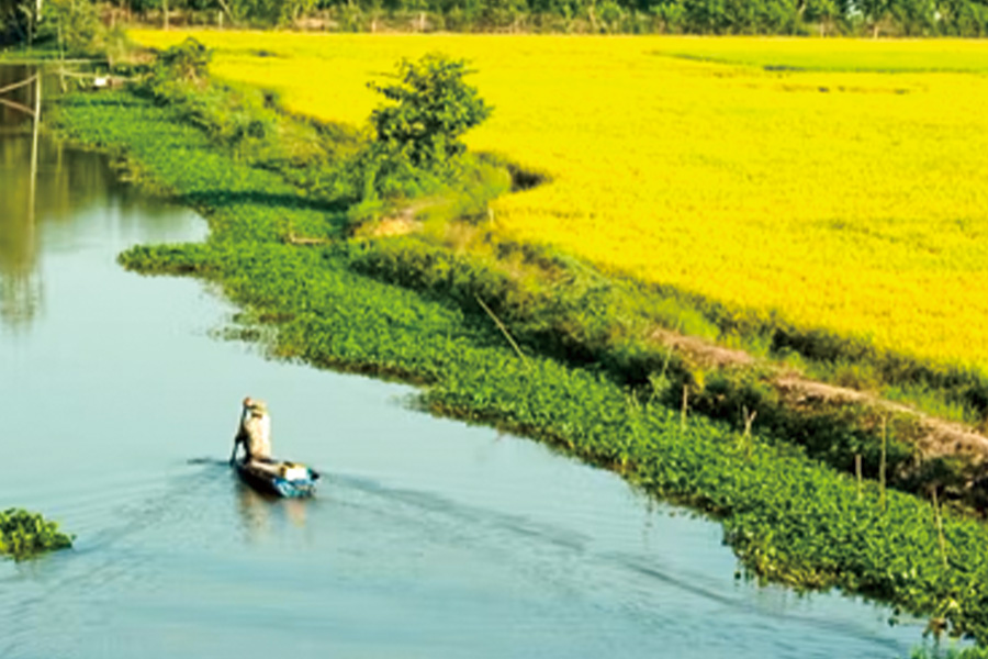 2026-0520-Magnificent Mekong-image-05