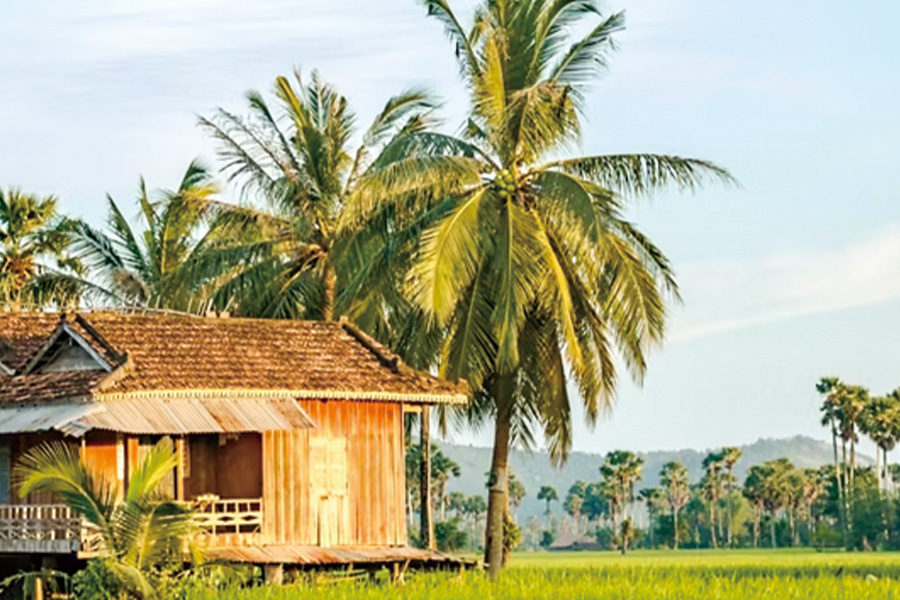2026-0520-Magnificent Mekong-image-20