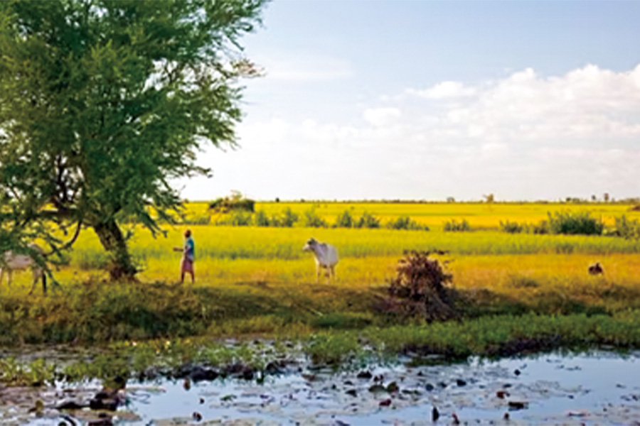 2026-0520-Magnificent Mekong-image-27
