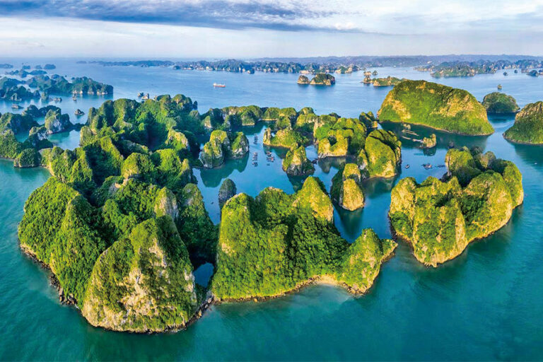 Scenic | 湄公河 | 越南探險家Vietnam Explorer / 2026年07.09.10.11月 / 2027年01.02.03.04.07.09.10.11.12月