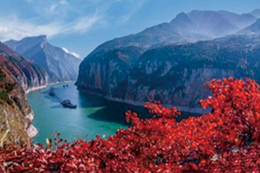 2026-0527-Vista Cruises-Attractions image