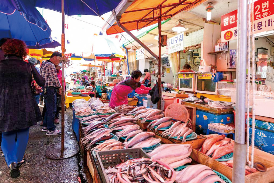 2026-0602-jagalchi market-image